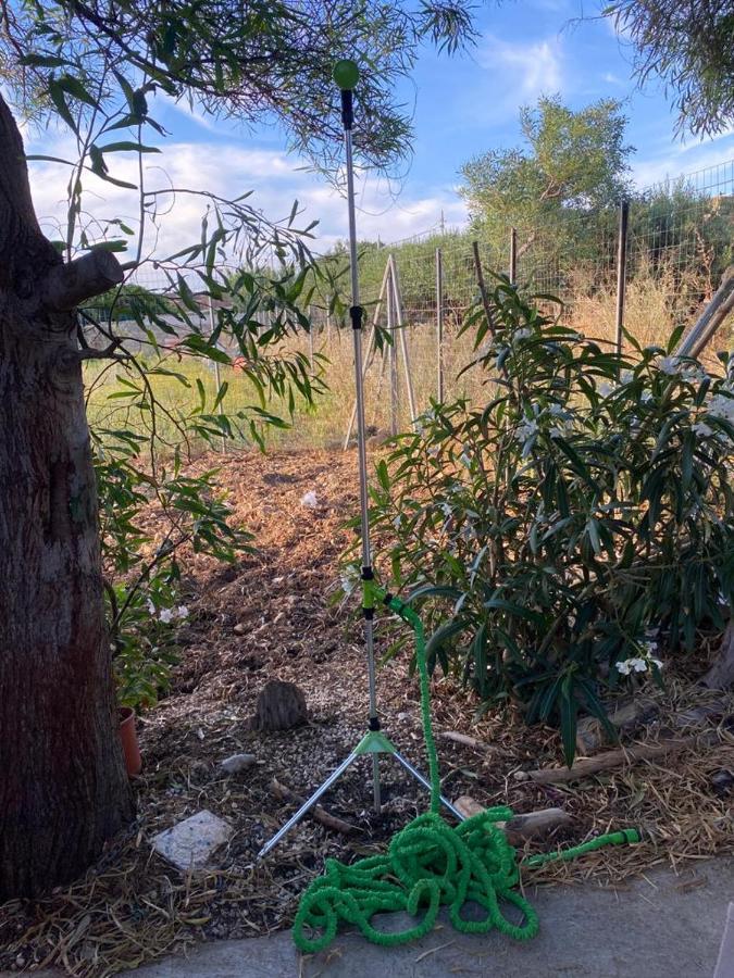 דירות Tonnara di Bonagia La Casa Del Gelso מראה חיצוני תמונה