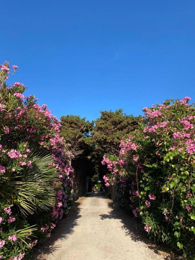 דירות Tonnara di Bonagia La Casa Del Gelso מראה חיצוני תמונה